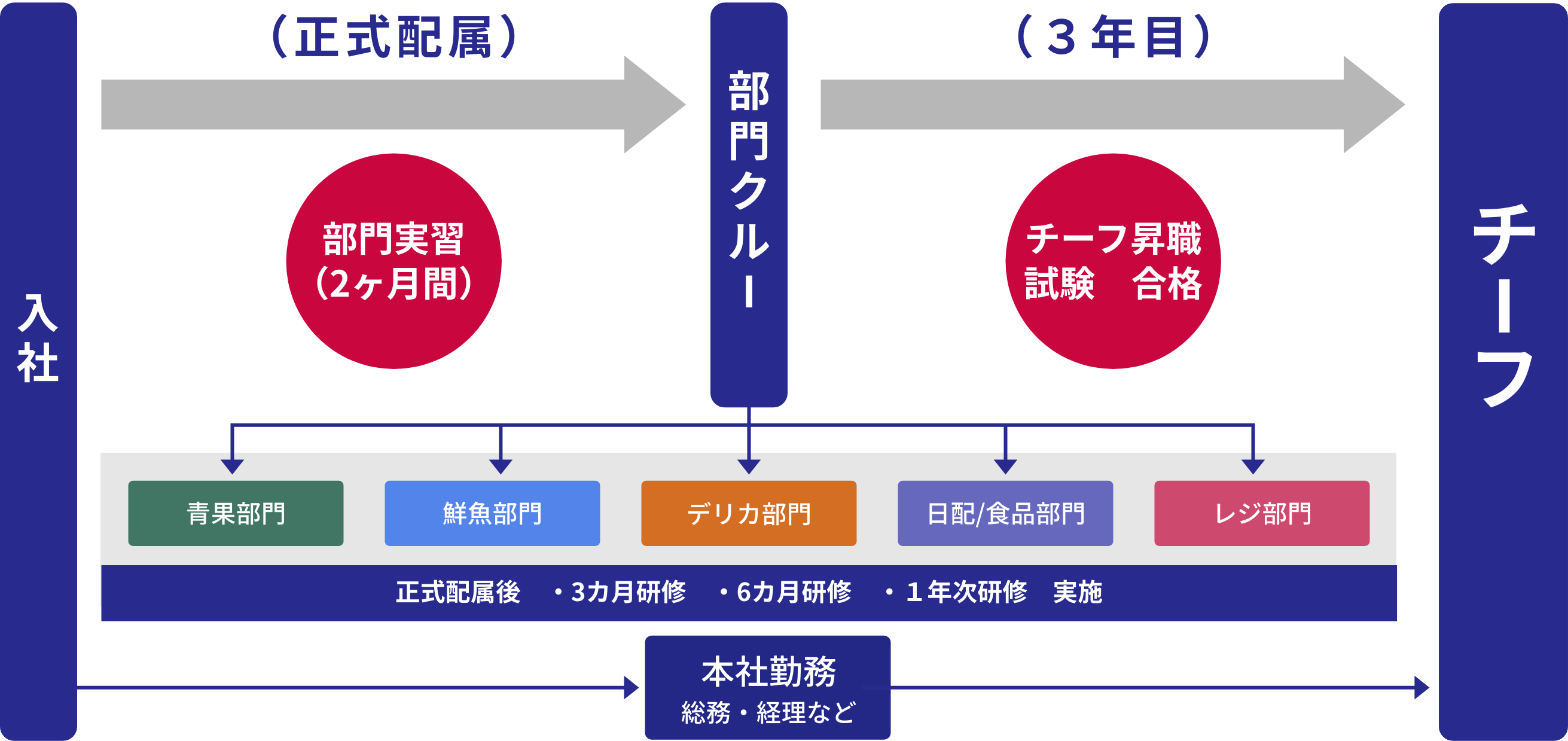 入社からチーフ昇進までのキャリアアップ図